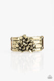 Paparazzi This ISLAND Is Your ISLAND Brass Ring - The Jewelry Box Collection 